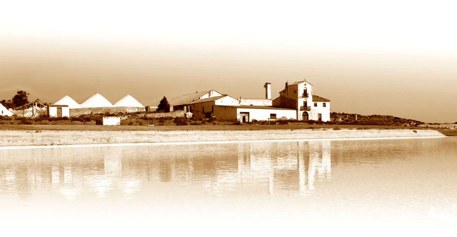 Fossil River sal de Villena - quiero delicatessen - sal - vilena