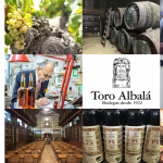 Toro Albalá