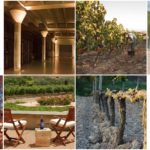 Valenciso, el rioja más moderno de los clásicos