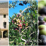 Señoríos de Relleu – Aceite de oliva virgen extra de la montaña de Alicante