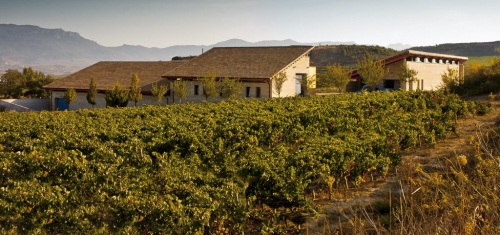 Compaia Bodeguera de Valenciso