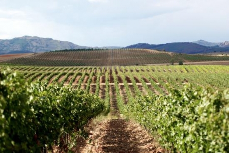 Finca Rio Negro