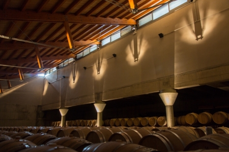Compaia Bodeguera de Valenciso
