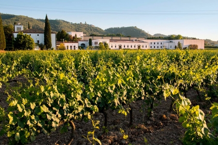 Sumarroca
