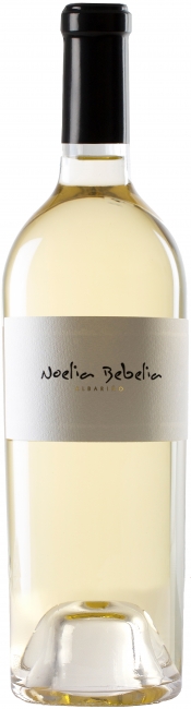 Noelia Bebelia 2022