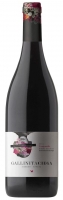 Gallinita Ciega 2021, Magnum