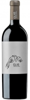 Clio 2021, Magnum