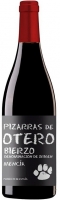 Pizarras de Otero 2021